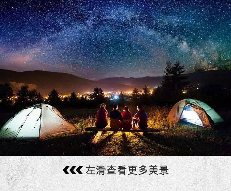 逃离金刚鹦鹉森林